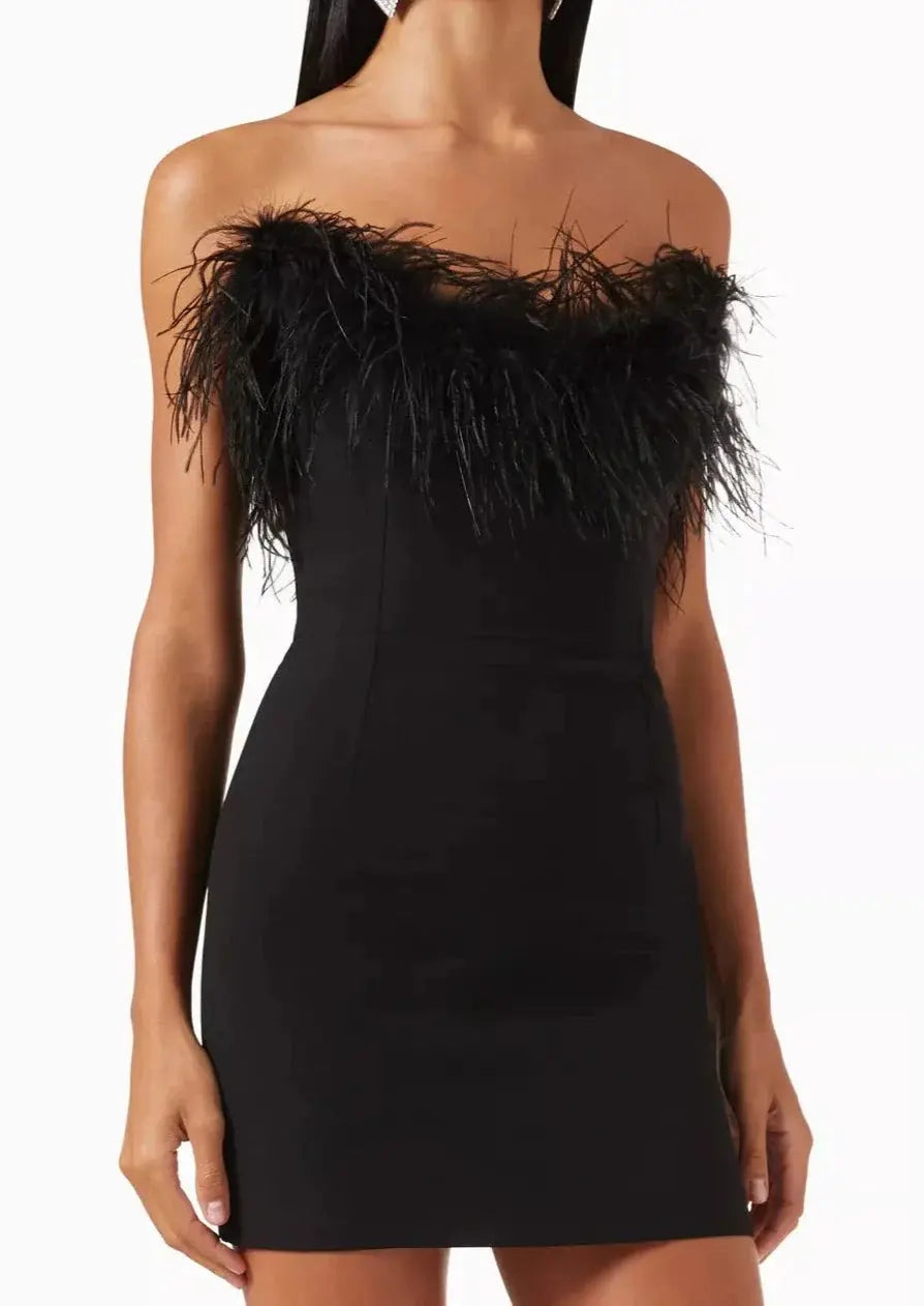 Women's Elegant Mini Dress | Feathered Detail | Winter