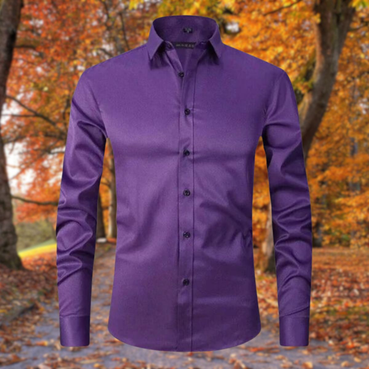 Women's Stretch Blouse | Easy Care | Autumn - Purple