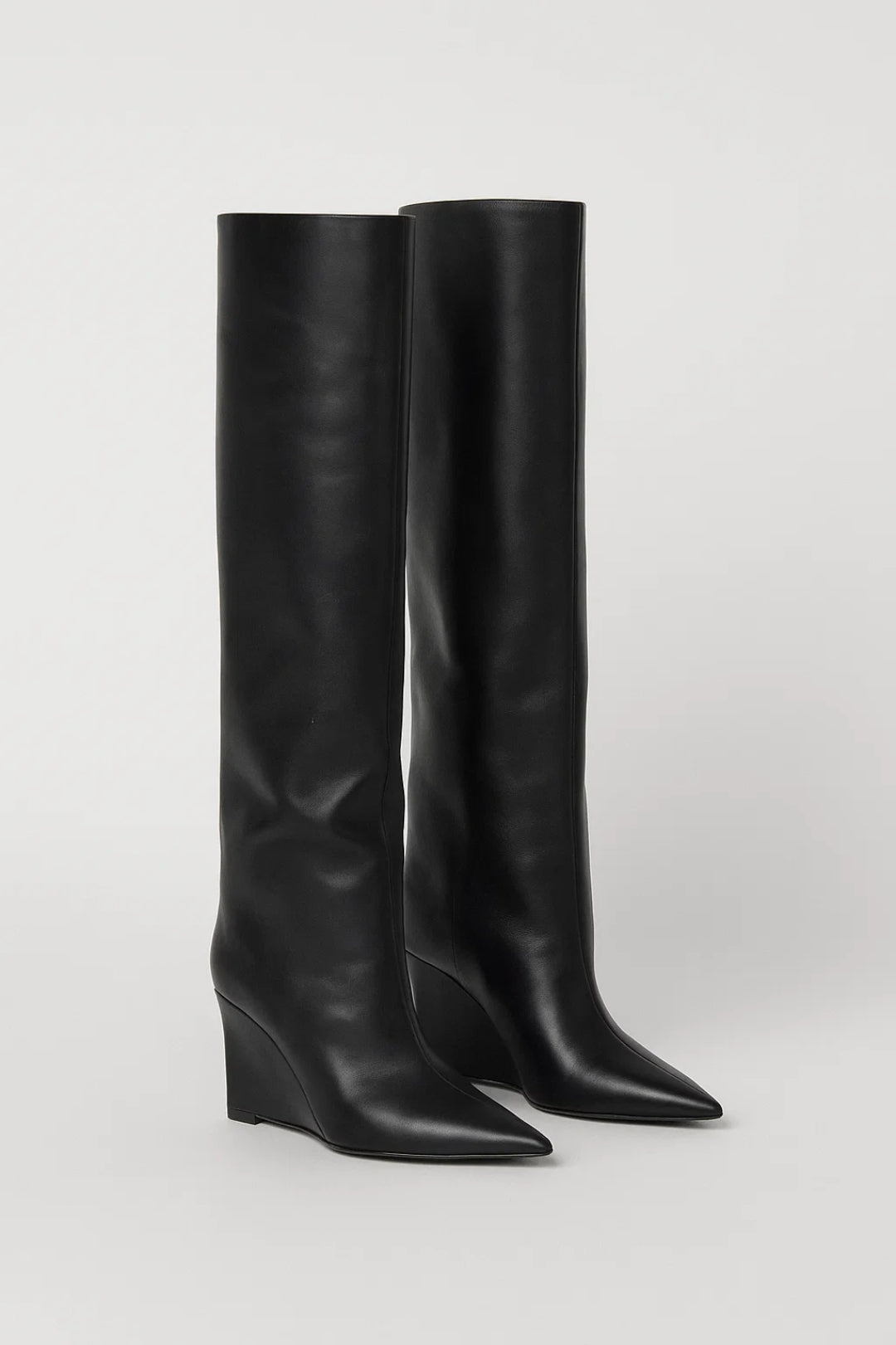 Women's Wedge Heel Boots | Pointed Toe | Autumn - Black